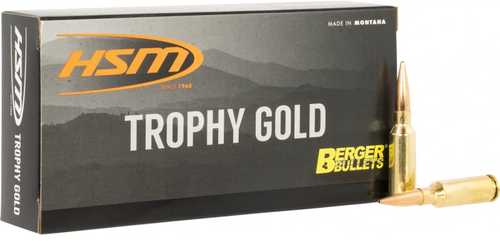 HSM 6mm Arc 95 Grain VLD Trophy Gold Hollow Point 20 Rounds